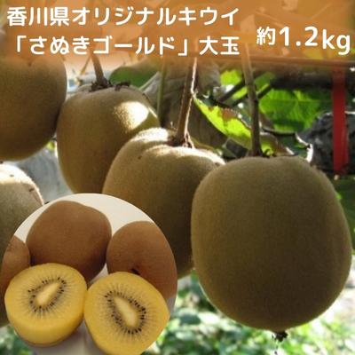 【ふるさと納税】香川県オリジナルキウイ「さぬきゴールド」大玉約1.2kg　果実 甘い 讃岐 くだもの ジューシー フルーツ 果物詰合せ 　お届け：2025年10月中旬～12月下旬