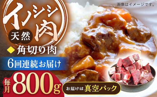 
										
										【6回定期便】ジビエ 天然イノシシ肉 角切り肉 800g（カレー・シチュー）【照本食肉加工所】 [OAJ062]
									