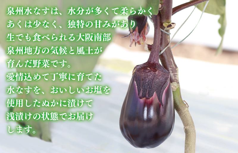 【先行予約】泉州 水なす漬け 6個【ハウス栽培 漬物 新鮮 野菜 泉佐野産 茄子 数量限定】 G1490