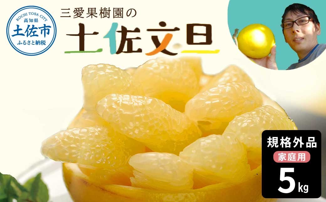 
                  【先行予約】　文旦 約5kg 5キロ L～4Lサイズ〈2027年2月上旬から順次発送〉 土佐文旦 みかん 柑橘 ぶんたん ブンタン 果物 フルーツ デザート おやつ 三愛果樹園の土佐文旦 おいしい 美味しい【三愛果樹園】 [BQAO012]
                