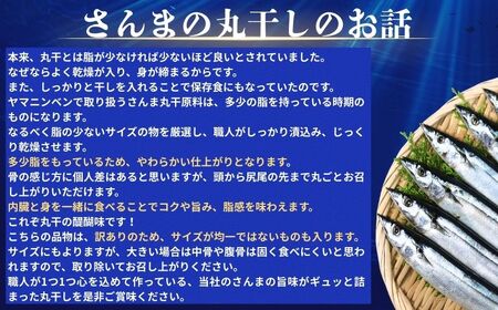 訳あり さんま 40尾 数量限定 増量 中 45尾 訳あって 【 さんま 】 ヤマニンベン
