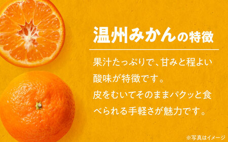 【お中元対象】自分へのご褒美やプレゼントに♪永沼農園のみかんジュースセット（温州ミカン 720ml×6本）　愛媛県大洲市/永沼農園[AGAW008]みかんジュースミカンジュース果物みかんジュースミカン