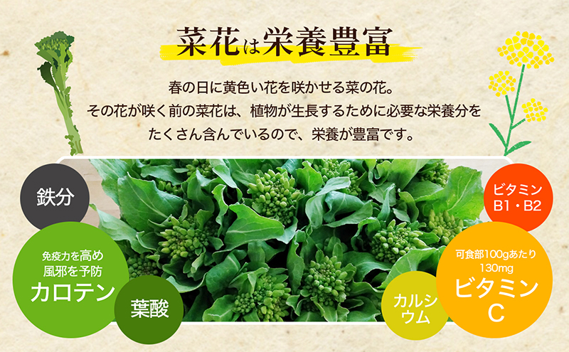 冬から春が旬の「菜花(菜の花)」600g