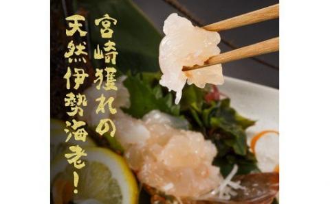 伊勢海老1kg（2～4尾）【魚介類 えび 伊勢えび イセエビ】[C01701]