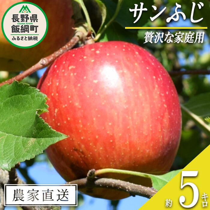【ふるさと納税】 りんご サンふじ 贅沢な 家庭用 5kg 庚申山荘ファーム 沖縄県への配送不可 令和7年度収穫分 長野県 飯綱町 〔 信州 果物 フルーツ リンゴ 林檎 長野 17000円 予約 農家直送 〕発送時期：2025年11月中旬〜2025年12月上旬{**}