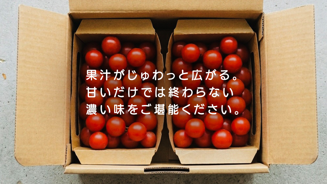ミニトマト ネネ 1kg とまと トマト ミニ 野菜 フルーツ 1kg 新鮮 夏野菜 産地直送 岩手県 (FF002)