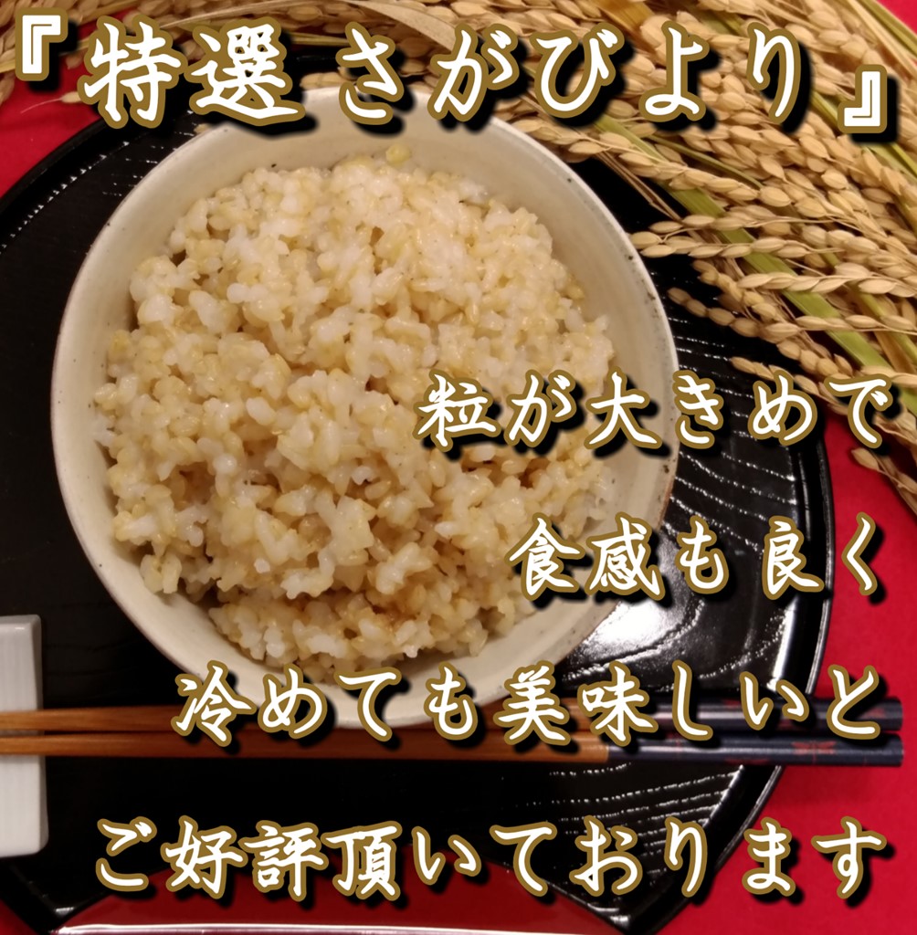 CI550_有機肥料を使って栽培した≪特選さがびより≫みやき