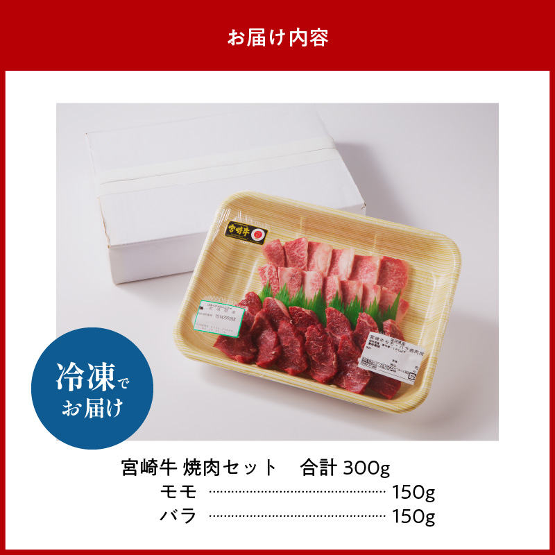 延岡育ちの宮崎牛おまかせ焼肉セット N023-YZA304_イメージ5