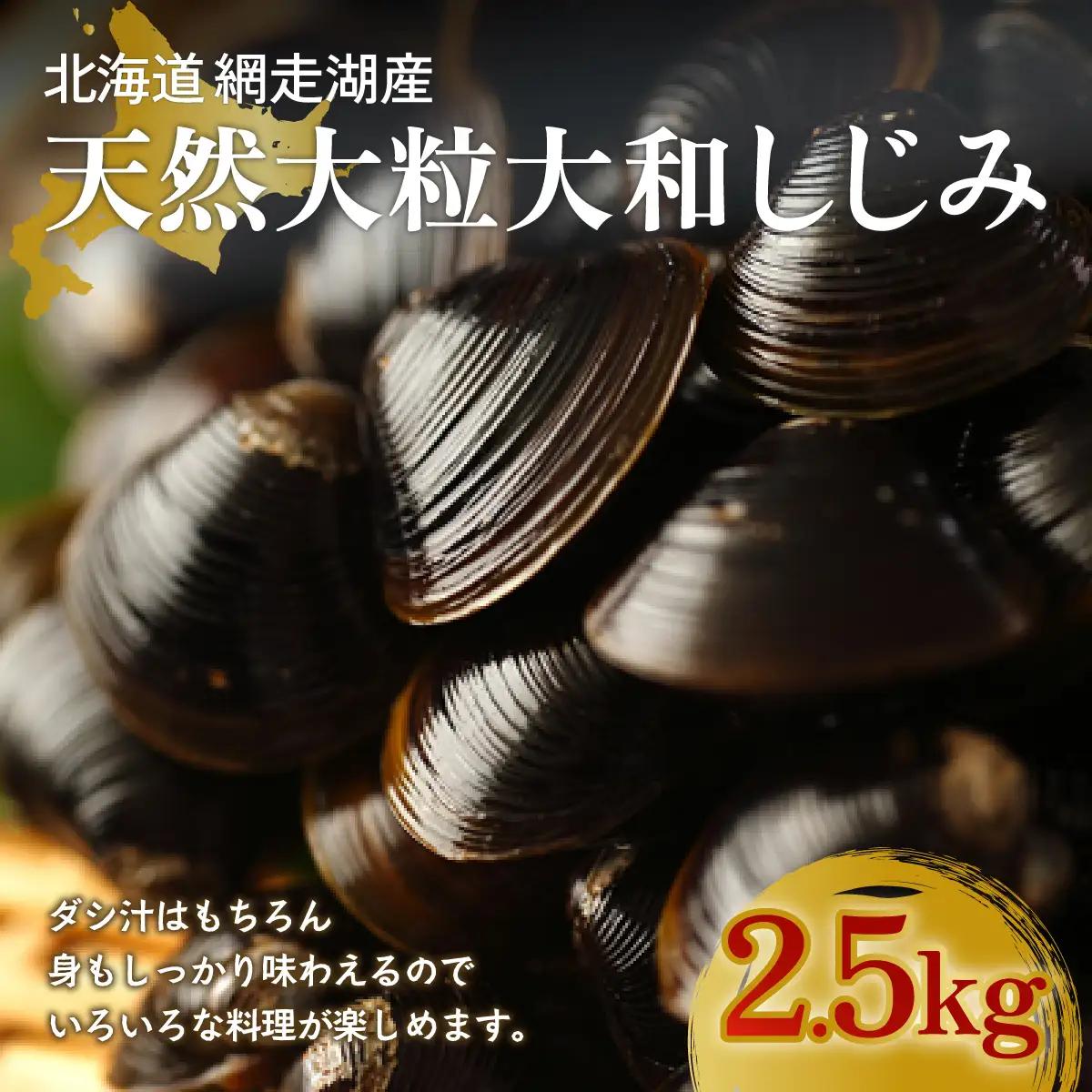 厳選！網走湖産大粒天然大和しじみ2.5kg OSA011