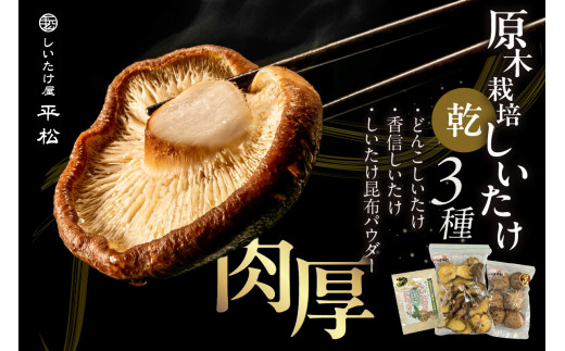 愛知県知多市産原木乾椎茸 ／ しいたけ シイタケ どんこ 肉厚 希少 愛知県 特産品