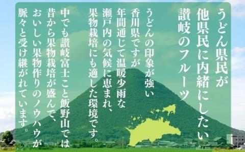 12カ月フルーツ定期便　讃州丸亀 旬の果実便り［離島エリア配送不可］