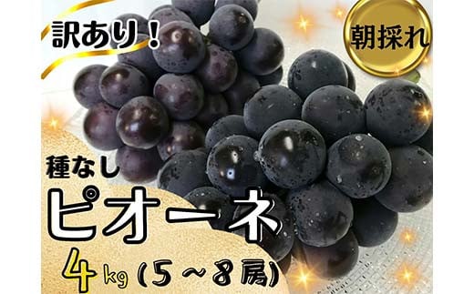 ＜2025年先行受付＞訳あり岡山県産ピオーネ4kg【1571848】