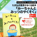 【ふるさと納税】たまねぎ農家がおくる絵本『みーちゃんとみっつのやくそく』5冊セット