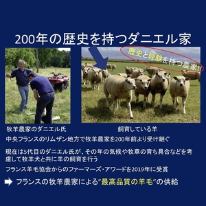 シキボウ抗ウイルス加工生地 フランス羊毛100%入り敷パッド ダブル アラウール100｜洗濯可 ウィルス抗菌加工 [3880]