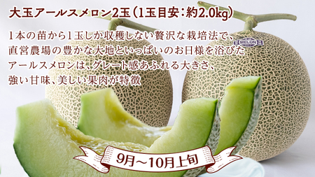 【 定期便 】【 2024年9月から発送開始 全4回 】 数量限定 フルーツ定期便 贅沢 フルーツ 満喫コース 旬 旬の果実 旬のフルーツ くだもの 果実 トマト フルーツトマト スイカ いちご メロ