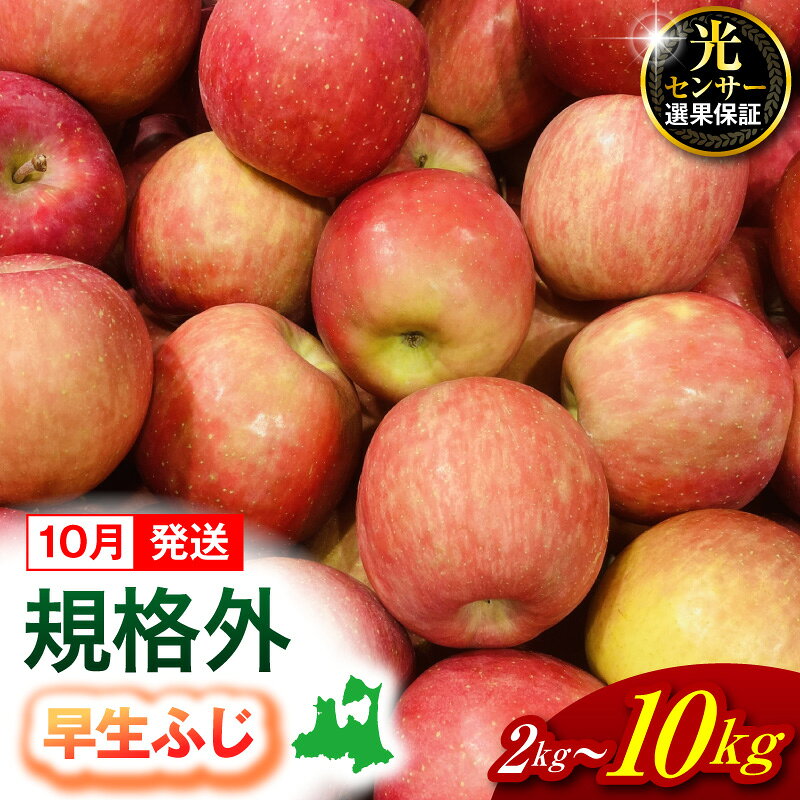 【ふるさと納税】【選べる内容量】【2026年10月発送】【規格外】 青森県産 りんご 規格外 早生ふじ ≪光センサー選果保証≫ | 2kg 5kg 10kg 青森県 五所川原市