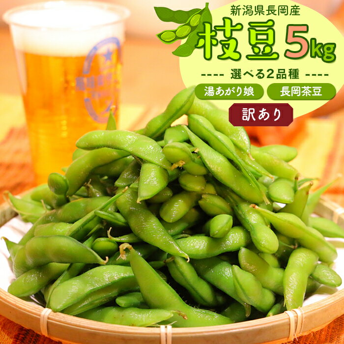【ふるさと納税】枝豆 5kg 訳あり 傷 規格外 不揃い 品種が選べる 湯あがり娘 長岡茶豆 新潟 冷蔵配送 【訳あり】長岡産季節の枝豆5kg