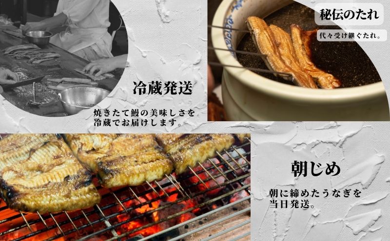 【創業1871年】浜名湖うなぎ 紅白焼8尾(1kg前後)ミネラル成分豊富な水で育てた鰻 ウナギ うなぎ 惣菜 おかず 蒲焼き おすすめ 浜名湖 静岡県 森町