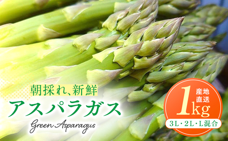 【先行受付】R8年産 アスパラガス 1kg 山内農園 | グリーンアスパラ グリーンアスパラガス アスパラ 大容量 野菜 春野菜 朝採れ 新鮮 極太 国産 サラダ 天ぷら 炒め物 家庭用 数量限定 旬 特産 産地直送 北海道 津別町 送料無料