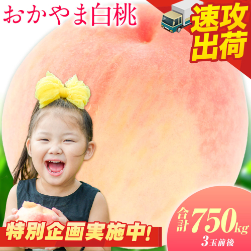 【最短翌日！】食べごろは＼今でしょ！／ 岡山の白桃 750g お試し 3玉前後 もも 岡山 《1-5営業日以内に出荷》 スピード発送 白桃 桃 岡山 清水白桃 白鳳 はなよめ 日川白鳳 加納岩白桃 おかやま夢白桃 川中島白桃 白麗 瀬戸内白桃 白皇 恵白