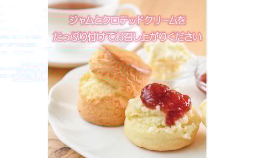 スコーン 6種 × 2個 セット 紅茶 専門店 ティー イソブチカンパニー すこーん suko-n