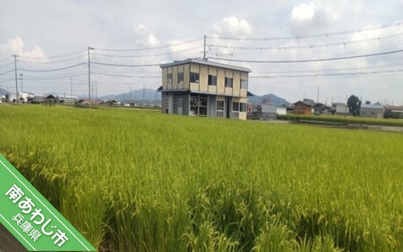 令和７年　淡路島産　新米にこまる ５kg ◆配送10月中旬以降