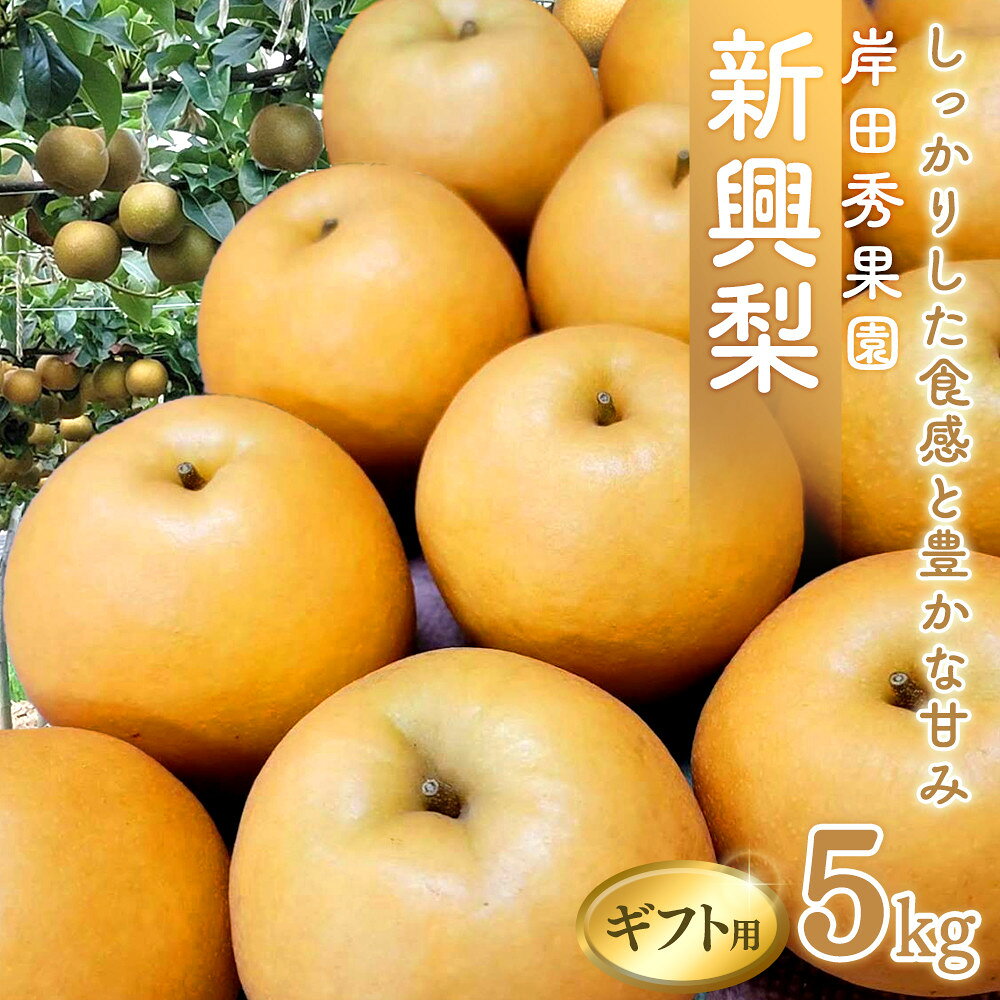 【ふるさと納税】梨 新興梨 ギフト用 5kg 岸田秀果園 10月頃お届け | 梨 新興梨 なし 鳥取県 5kg おすすめ おいしい 果物 くだもの フルーツ