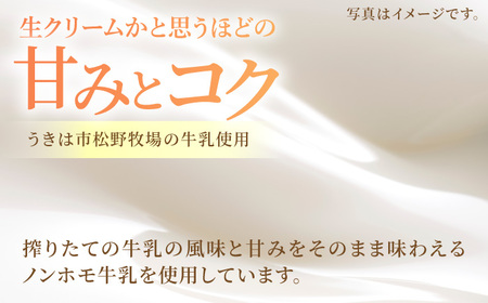 【12回定期便】果樹園が作る 素材の味を楽しめる 旬のジェラート 120ml×12個セット【ソルベッチdoうきは】着色料不使用 ノンホモ牛乳使用 ジェラート アイス 旬 スイーツ 詰め合わせ セット 