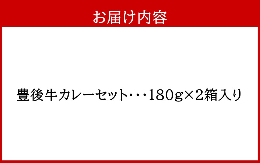 おおいた豊後牛カレー2箱セット_2454R_イメージ3