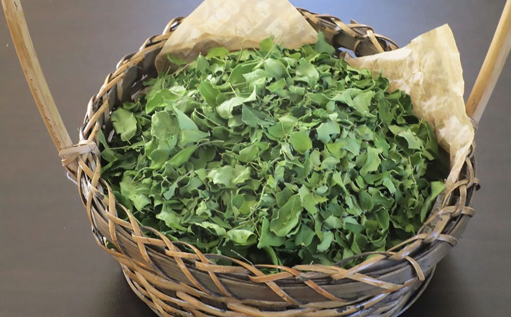 モリンガ茶セット（熊本県天草産100%） 計120個（20個✕6パック） ティーバッグ お茶 茶葉