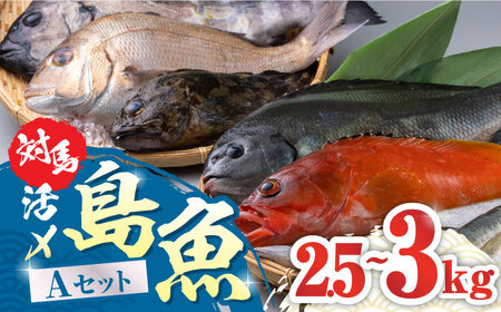 対馬 活〆 島魚セット 2.5?3kg《対馬市》【対馬地域商社】 海鮮 魚介 ブリ タイ 人気 おいしい おすすめ ランキング  九州 長崎 [WAC004]