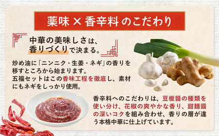 Y61-64 中華5点セット(5種×2袋 計10袋） エビチリ エビマヨ 麻婆茄子 黒酢酢豚 豚と茄子の回鍋肉 各約200g 惣菜 
