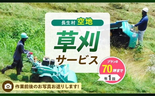 
            AE3-002 空地草刈サービス【プランB／年１回】（要寄附前連絡）
          