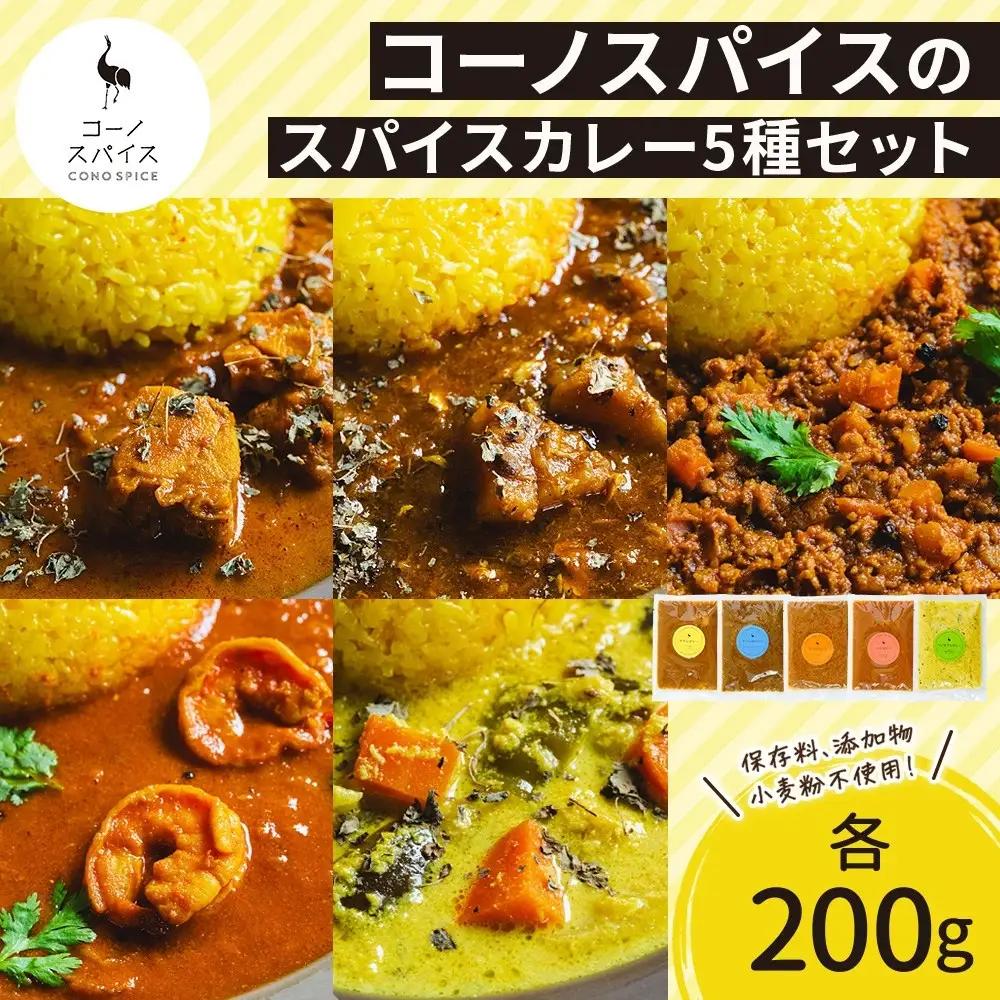 コーノスパイス スパイスカレー5種セット チキン サバと大根 キーマ エビ ベジタブル 各200gパック 小麦粉不使用 グルテンフリー CONO SPICE コーノコーラ 愛知県 名古屋市