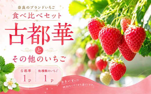 いちご ことか 食べ比べ 2種 計2パック 先行予約 2027年発送 古都華 苺 フルーツ 果物 ストロベリー 甘い スイーツ デザート 数量限定 産地直送 冷蔵 ブランド苺 プレゼント ギフト 贈答 家庭用 フレッシュ 新鮮 旬 itigo strawberry かおりの 珠姫 たまひめ 奈乃華 なのか ならあかり あすかルビー イチゴ ならいちご 奈良県 奈良市 奈良 なら めいとく農園