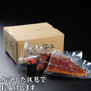 【 定期便3回 】 うなぎ と かつおのたたき 食べ比べセット