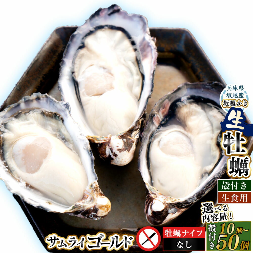 【ふるさと納税】 ＜選べる内容量＞サムライゴールド 坂越産 殻付き生牡蠣 10個 / 20個 / 30個 / 40個 / 50個 生牡蠣 牡蠣 かき カキ 殻付き 貝 貝類 魚貝類 魚介類 水産物 冷蔵 兵庫県産 国産 兵庫県 赤穂市 送料無料