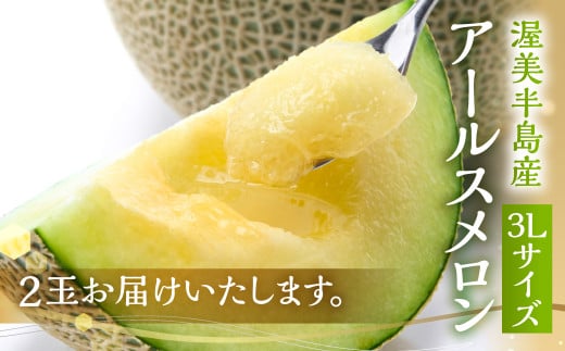 農業王国 渥美半島 田原市から 日研農園 アールスメロン 3L×2玉入 / めろん フルーツ 果物  特産品 産地直送 田原市 渥美半島