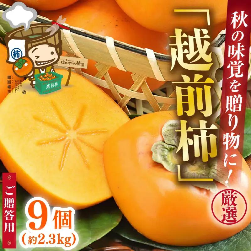 【先行予約】【2026年10月下旬～11月中旬に発送予定】秋の味覚を贈り物に！厳選「越前柿」大玉 9個（ご贈答用）／ 果物 フルーツ 産地直送 期間限定 ※2026年10月下旬～11月中旬に発送予定 