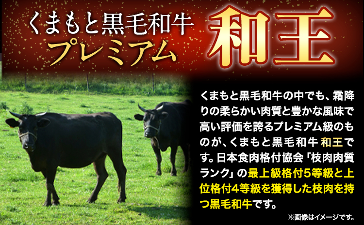 くまもと黒毛和牛 和王 バラ 霜降り 焼肉切り落とし 550g 牛肉 黒毛和牛 A5 A4 等級《60日以内に出荷予定(土日祝除く)》---ng_fwow_60d_24_12000_550g---st