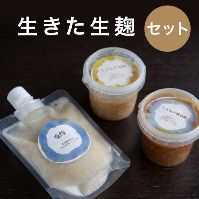 ふるさと納税 津和野町 【冷蔵】生きた発酵食品「塩麹・玉ねぎ塩麹・玉ねぎ醤油麹」3種セット