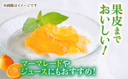 【数量限定】不知火 約5kg　【日本フルーツ株式会社】[ZFJ002]