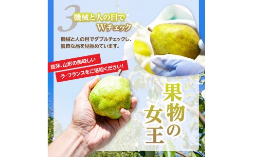 《先行受付》ラフランス 約3kg （7～11玉） 【2026年11月上旬頃～発送予定】【山形洋梨】