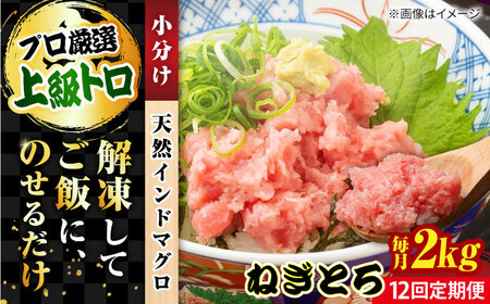 【全12回定期便】天然 まぐろ ねぎとろ 約2kg（約250g×8パック） 鮪 マグロ 魚 ネギトロ 横須賀【横須賀商工会議所 おもてなしギフト事務局（本まぐろ直売所 横須賀本店）】 [AKAK049]