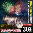 【ふるさと納税】《数量限定》プライベート花火(計30発・レプリカ玉進呈)打揚場所・日時は応相談！【太洋花火】