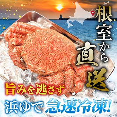 ふるさと納税 根室市 【北海道根室産】ボイル毛がに2尾(計800g) F-42016 |  | 01
