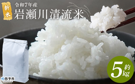 ＜令和7年産 新米 岩瀬川清流米 コシヒカリ 5kg＞ 5キロ こしひかり お米 コメ こめ 白米 精米 ご飯 穀物 鮮度 特産品 愛媛県産 西予市産 宇和町産 OTSUKAFARM 愛媛県 西予市 【常温】『2025年9月下旬から順次出荷予定』UOF0002