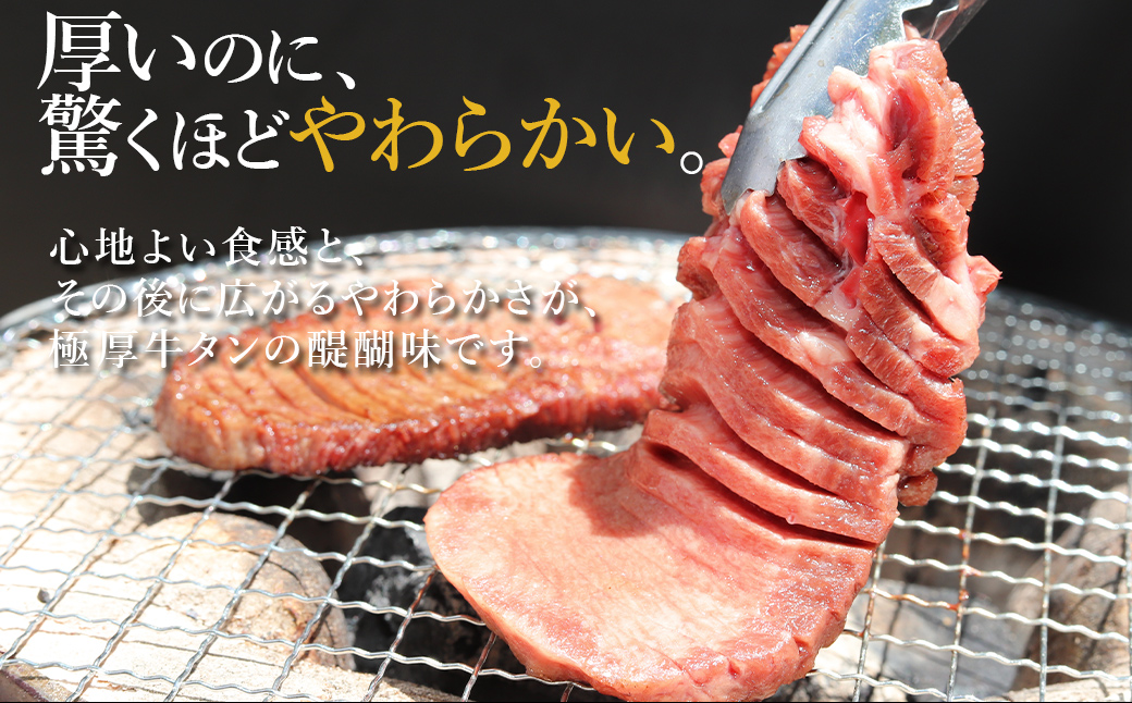 極厚牛タン 500g×3パック 計約1.5kg