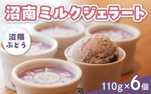 アイス 沼南ミルクジェラート 沼隈ぶどう６個 アイス アイスクリーム ジェラート デザート スイーツ ぶどう マスカット ニューベリーA 果汁 ご当地 グルメ お取り寄せ 冷凍 贈答 贈り物 ギフト お土産 濃厚 さっぱり ミルク 新鮮 果物 特産品 美味しい おいしい 詰め合わせ カップアイス 夏 冬 おやつ 贅沢 家族 父の日 誕生日 敬老の日 広島県福山市/甚ごろう [BAEC005]