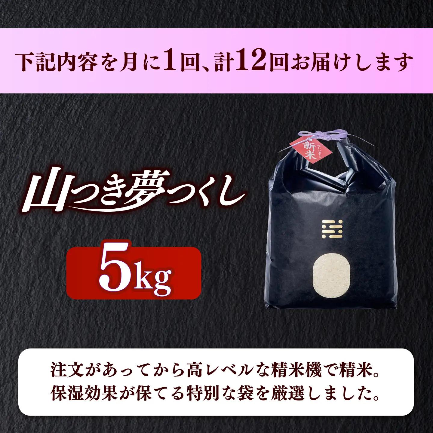 【全12回定期便】農薬 を使わずに育てた 山つき   夢つくし 5kg【築上町】 / itoshimacco / 株式会社やました[ABEX016]